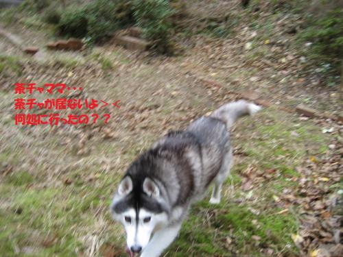 IMG_1561_convert_20131213080110.jpg