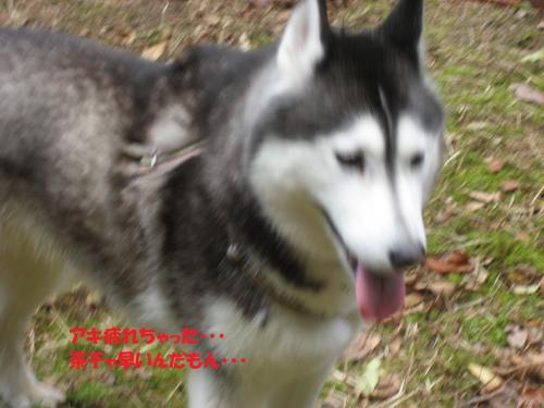 IMG_1562_convert_20131213080126.jpg