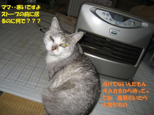 IMG_1565_convert_20131216074543.jpg