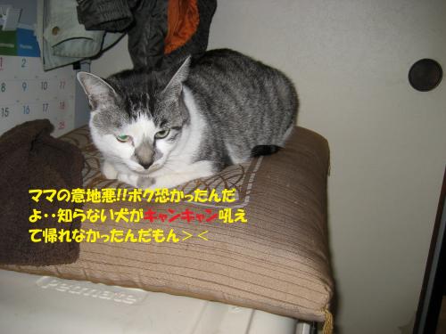 IMG_1568_convert_20131216074649.jpg