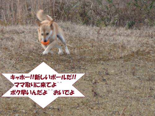 PC156236_convert_20131216074706.jpg