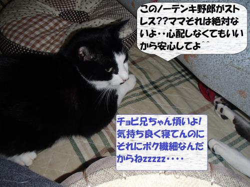 PC166257_convert_20131217075350.jpg