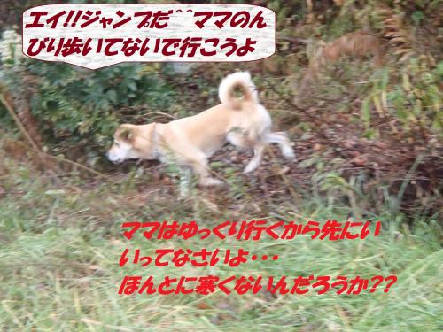 PC186270_convert_20131221081406.jpg