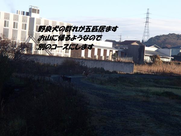 PC196279_convert_20131220082006.jpg