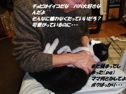 PC196284_convert_20131220082114.jpg