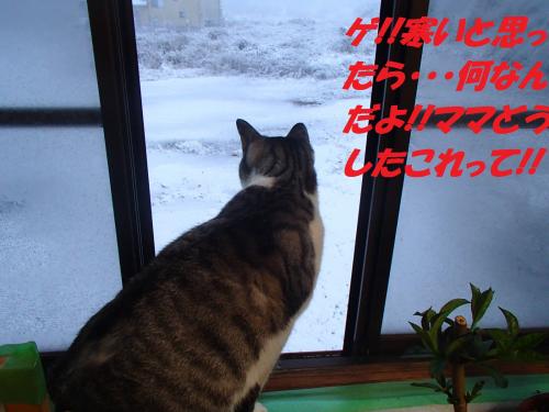 PC206288_convert_20131220082210.jpg