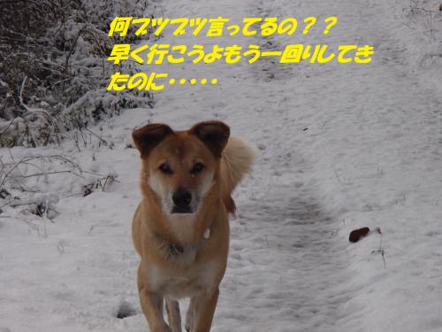 PC206296_convert_20131222082805.jpg