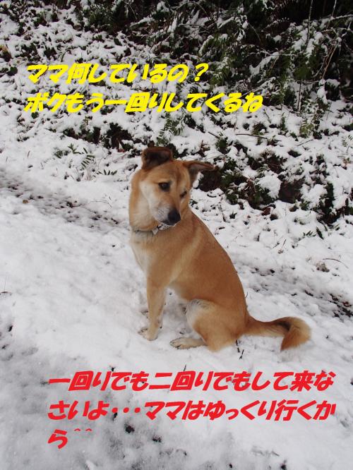PC206298_convert_20131222082837.jpg