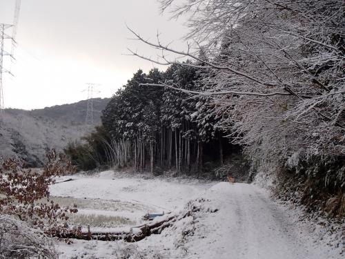 PC206300_convert_20131222082906.jpg