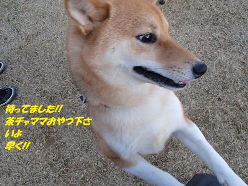 PC256352_convert_20131226075227.jpg