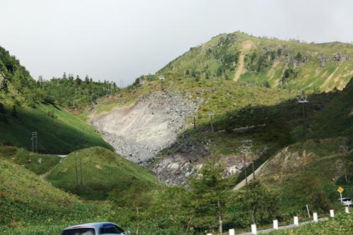IMG_7175.jpg