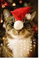 95E40A3C_convert_20111224224730.jpg