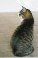 BAC8A09D_convert_20111229001101.jpg