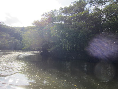 IMG_5071.jpg