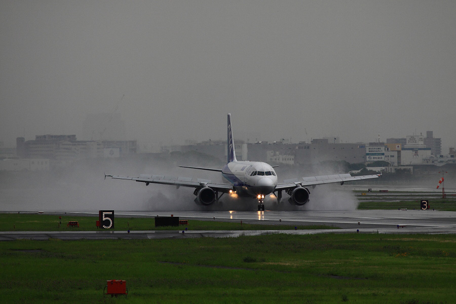ANA A320-211 / ANA554 (レジ不明)
