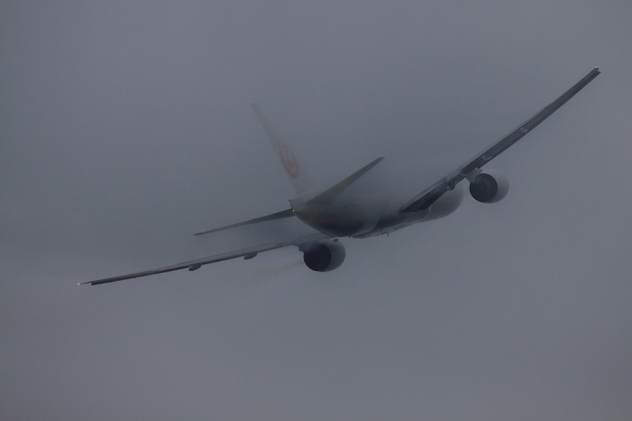 JAL B777-289 / JAL110 (JA8979)