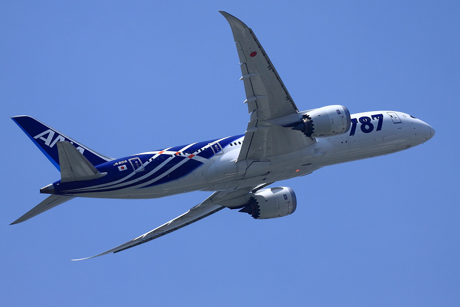 ANA B787-881 / ANA22 (JA801A)