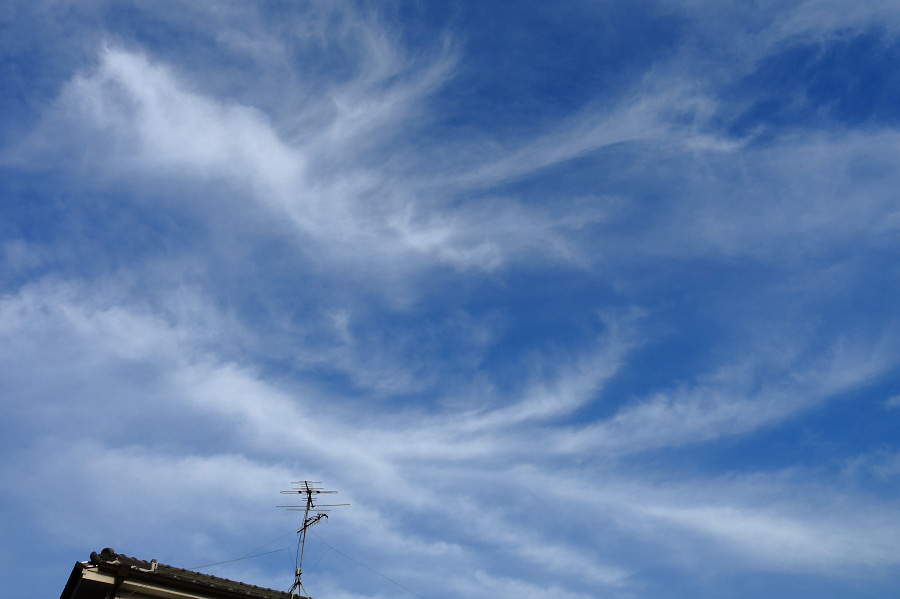 今朝の心地良い空