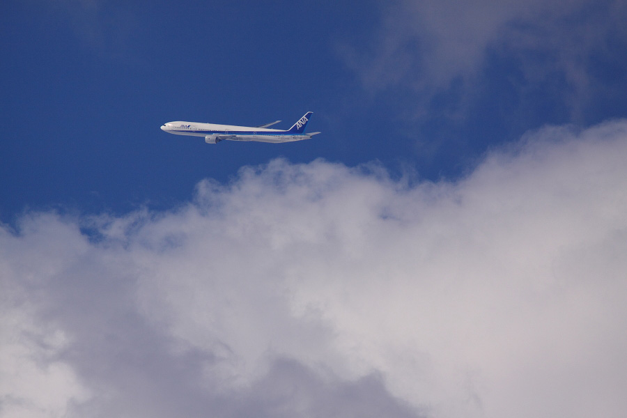 ANA B777-381 ANA16