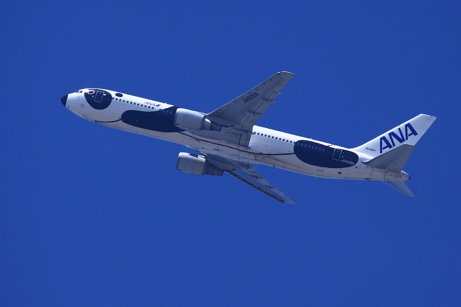 ANA B767-381ER ANA20