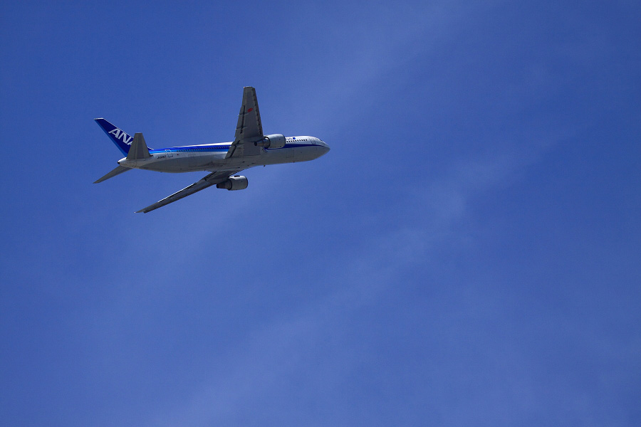 ANA B767-381 / ANA733