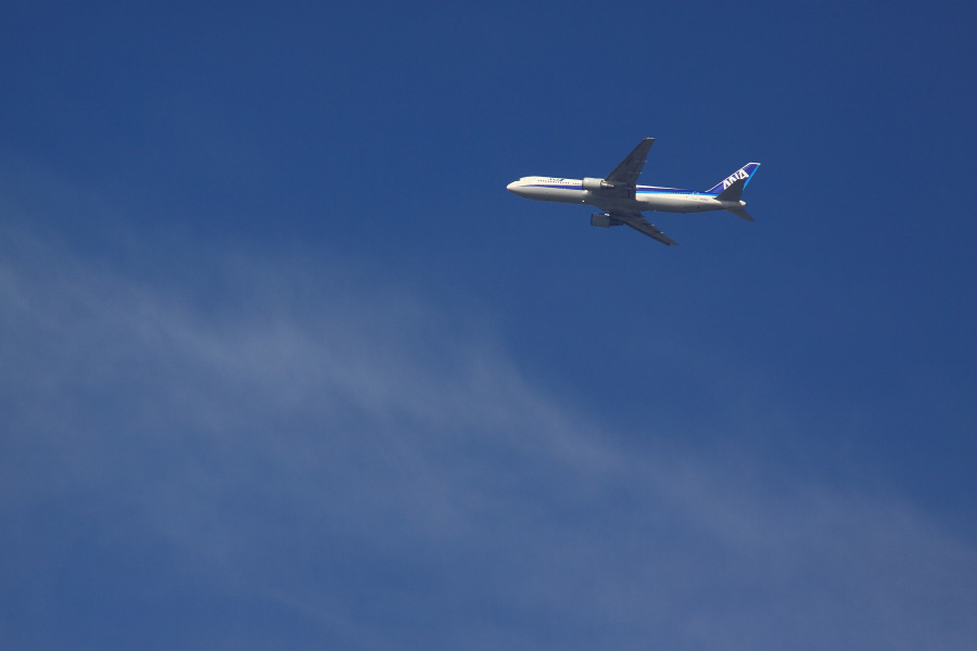 ANA B767-381 / ANA541