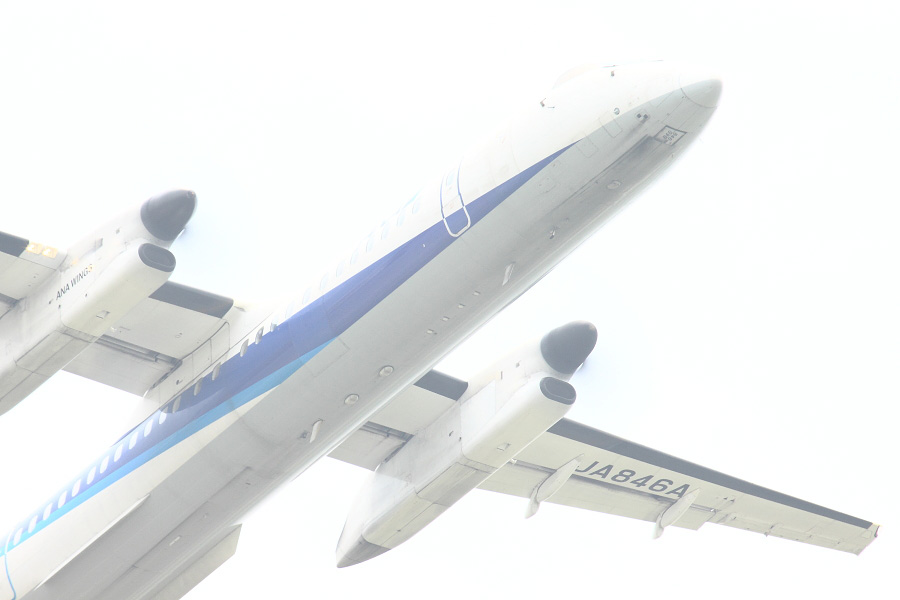 ANA WINGS DHC-8-402Q / ANA1677