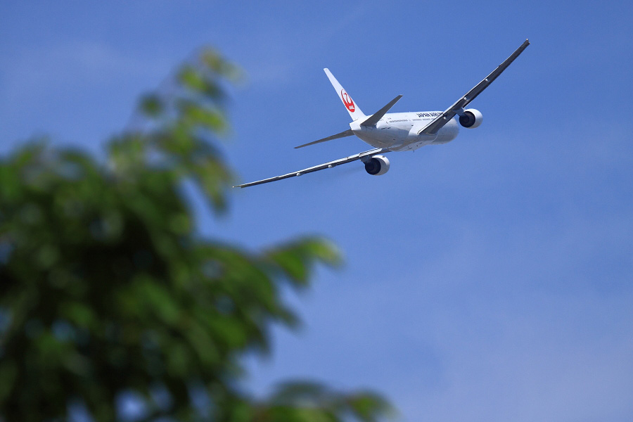 JAL B777-289 / JAL110 (JA007D)