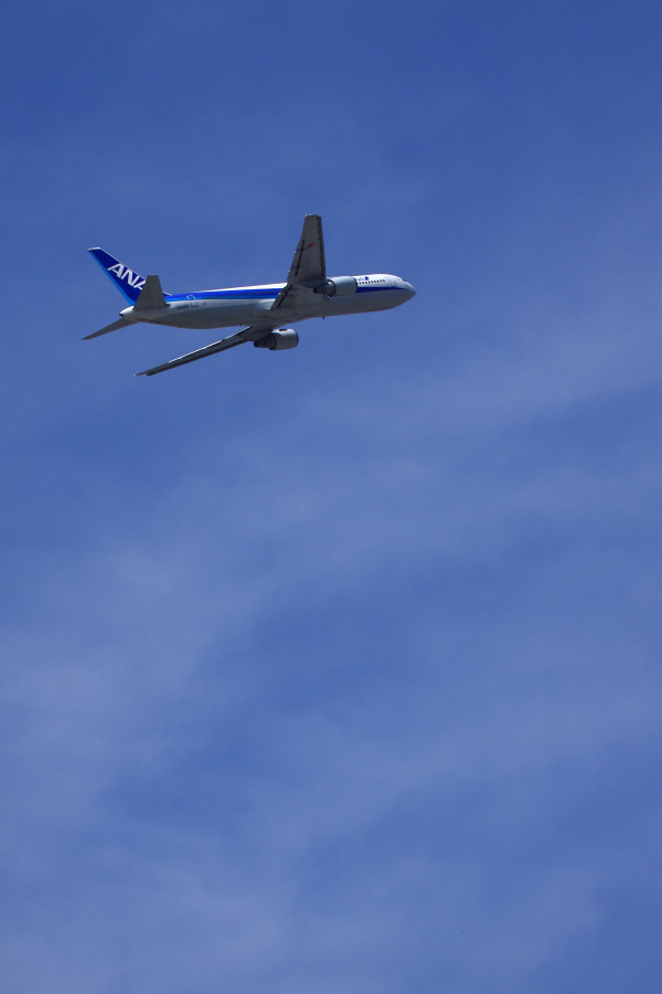 ANA B767-381 / ANA733 (JA8568)