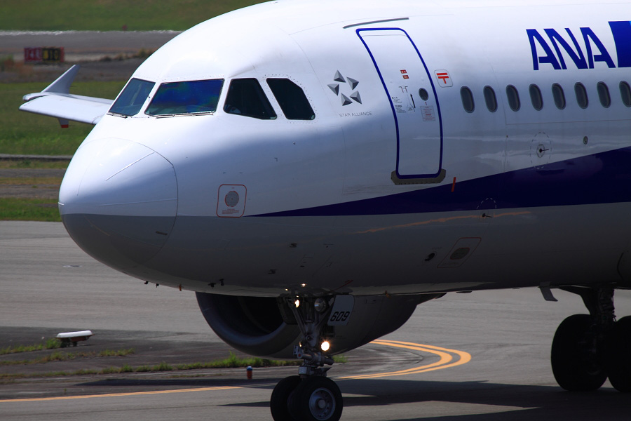 ANA A320-211 / ANA732 (JA8609)