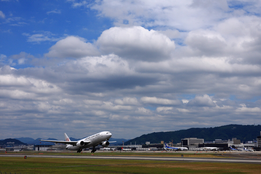 JAL B777-289 / JAL114 (JA8977)