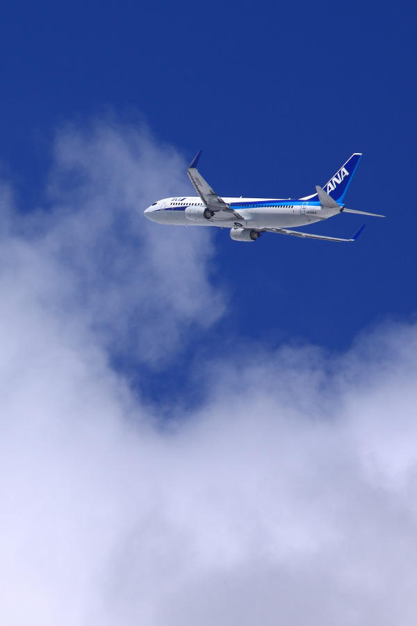 ANA B737-881 / ANA523 (JA55AN)