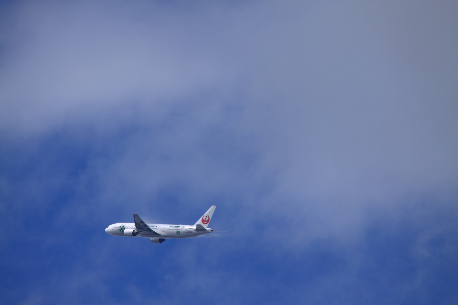JAL B777-246 / JAL110 (JA8984)
