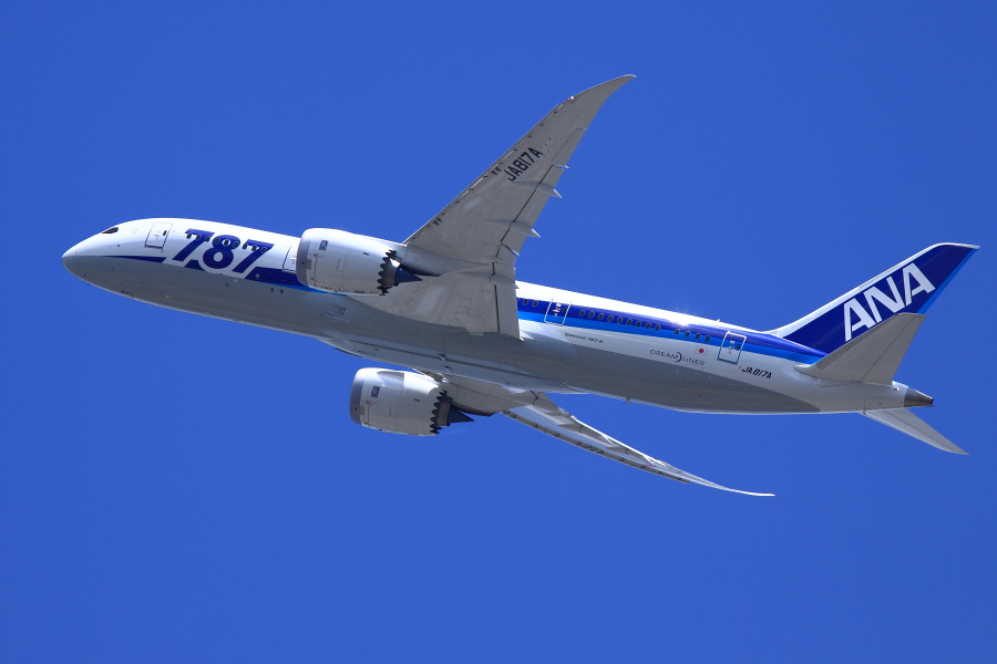 ANA B787-881 / ANA22 (JA817A)
