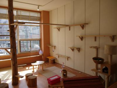 かごにゃん2号店 キャットウォーク