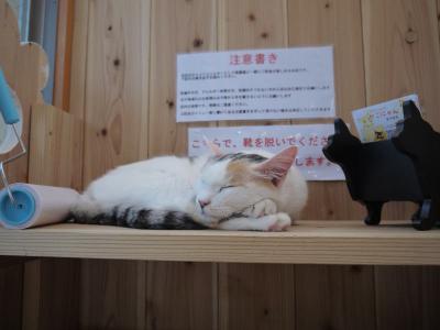 かごにゃん2号店 入り口