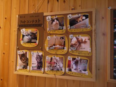 nuko-mahi 第3回写真コンテスト