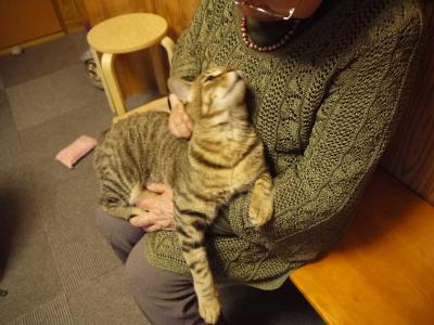 甘えん坊さん