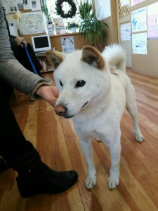 ゴロー②
