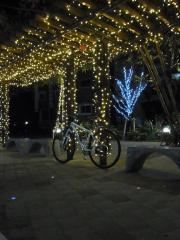 2011.12.22イルミ1