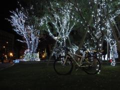 2011.12.22イルミ2