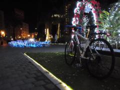 2011.12.22イルミ3