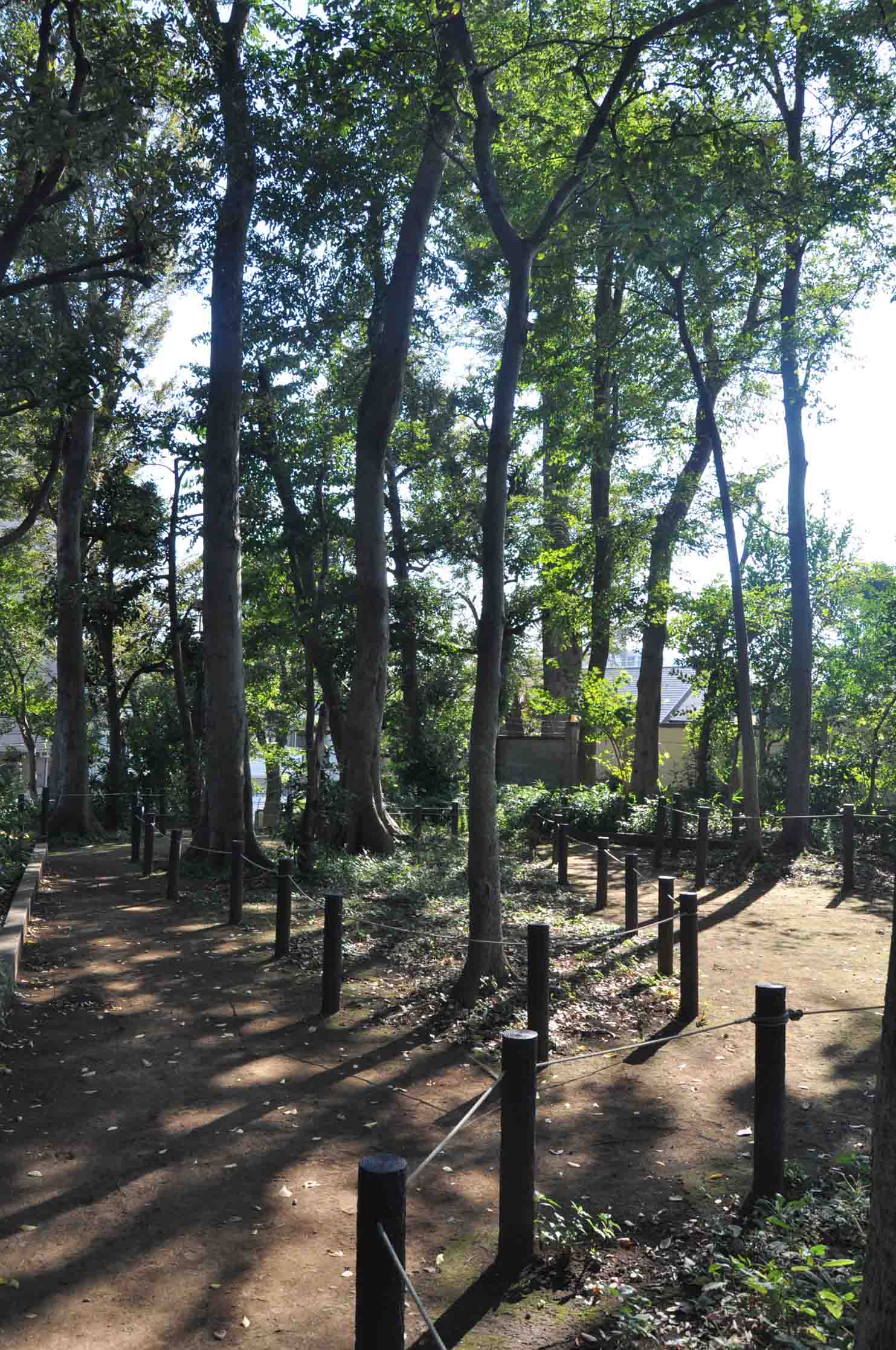 DSC_2217岡田の森