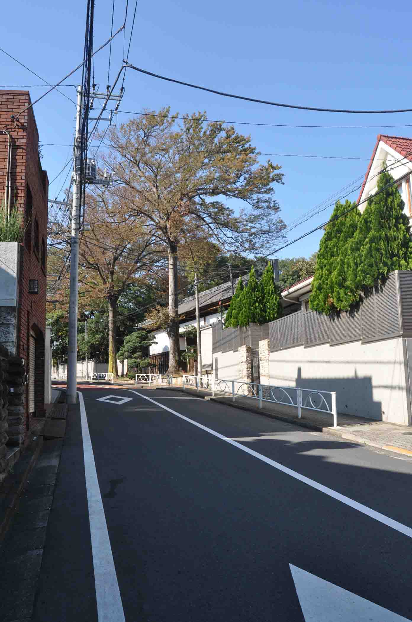 DSC_2220岡田家