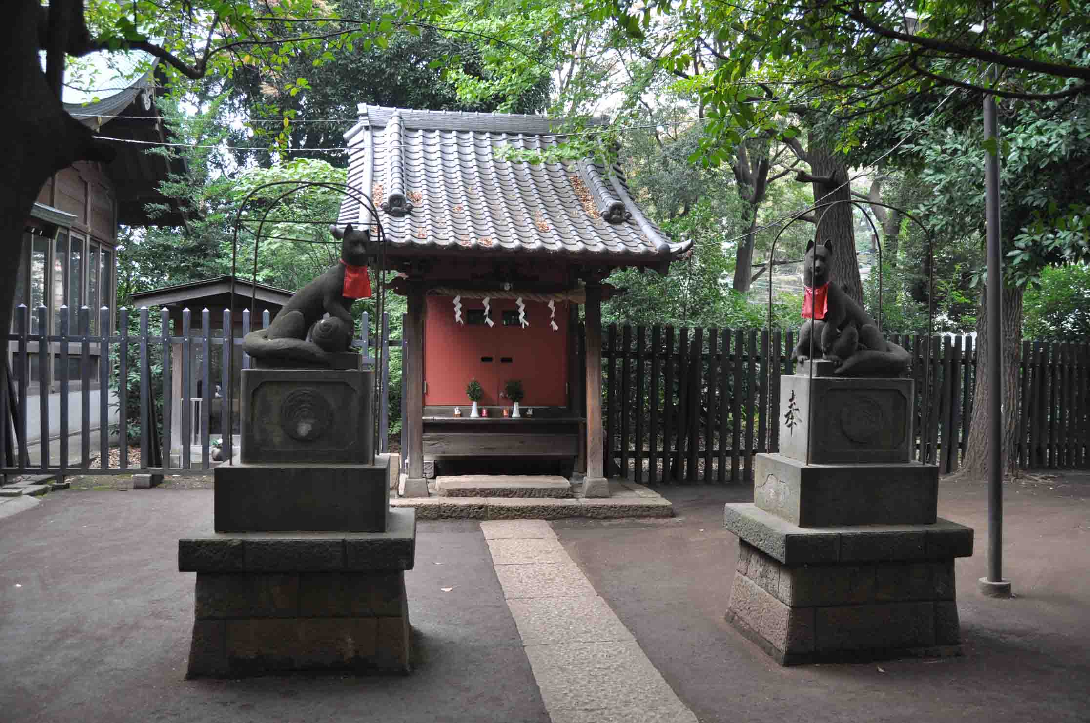 DSC_2230A.jpg
