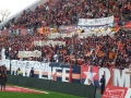P1010206.jpg