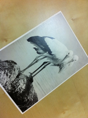iphone_20120403191635.jpg
