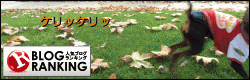 banner-10_20131209163252eee.gif