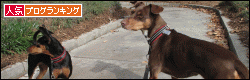 banner-8_20131129151727d8d.gif