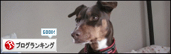 banner-9_201312061626184d3.gif